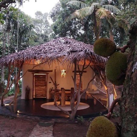 Ella Retreat Hotel Villa For Nature Lovers Экстерьер фото