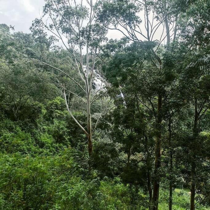 Ella Retreat Hotel Villa For Nature Lovers Экстерьер фото